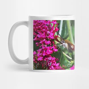 THE PANASONIC FZ 200 PAR OKAIO CREATION Mug